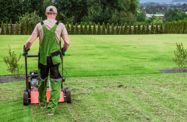 contractor doing lawn aeration in frisco