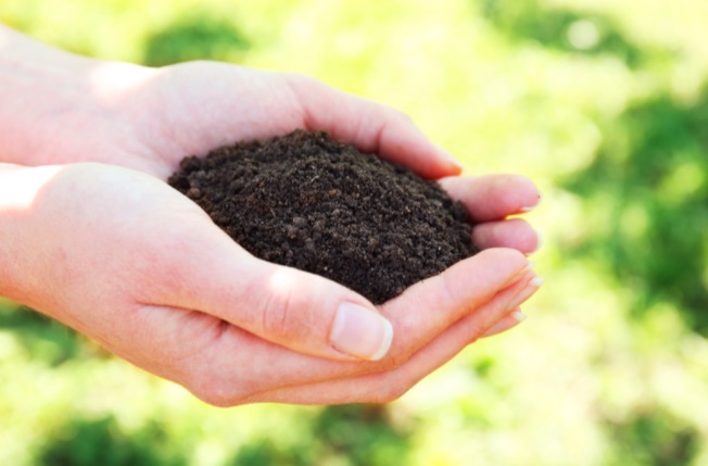 Hands holding a soil